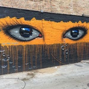 Meet your Posher, Bella